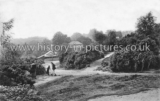 Turpin's Cave, High Beach, Epping Forest, Essex. c.1905